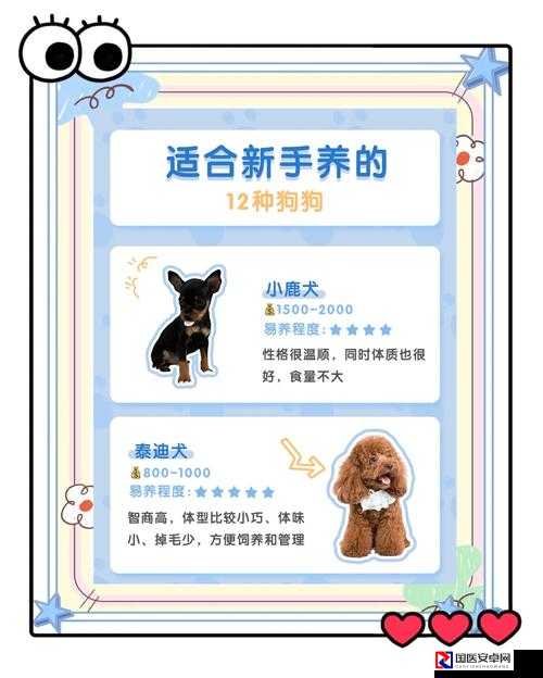 绝了！黑色沙漠手游宠物狗获取全攻略，萌宠控必看！