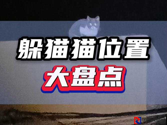 QQ宠物监狱猫隐藏位置大公开！萌系捕捉攻略速存