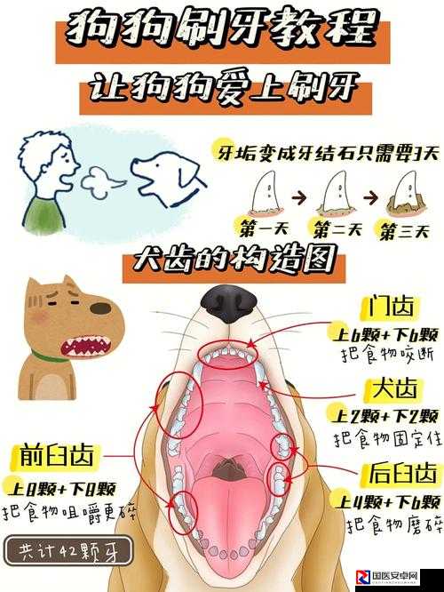 奥库兹2合成必看！爆肝整理保姆级教程，手把手教你轻松突破瓶颈！
