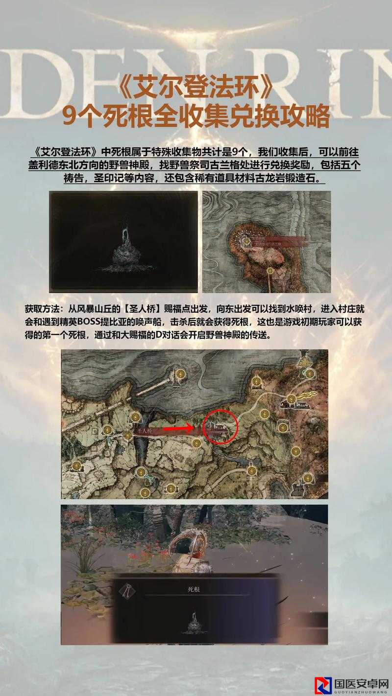血赚！艾尔登法环卢恩速刷位置大公开！这篇必存，冲就完事了
