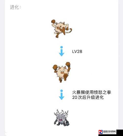 宝可梦朱紫图鉴查看方法大公开！萌新秒懂攻略速存